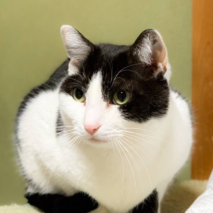 37978ad0 2935 4f47 9289 011326ff9881 1589594269457