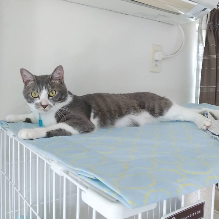 37978bf7 f1e7 49e3 8ea3 539718672d7a 1593651457588