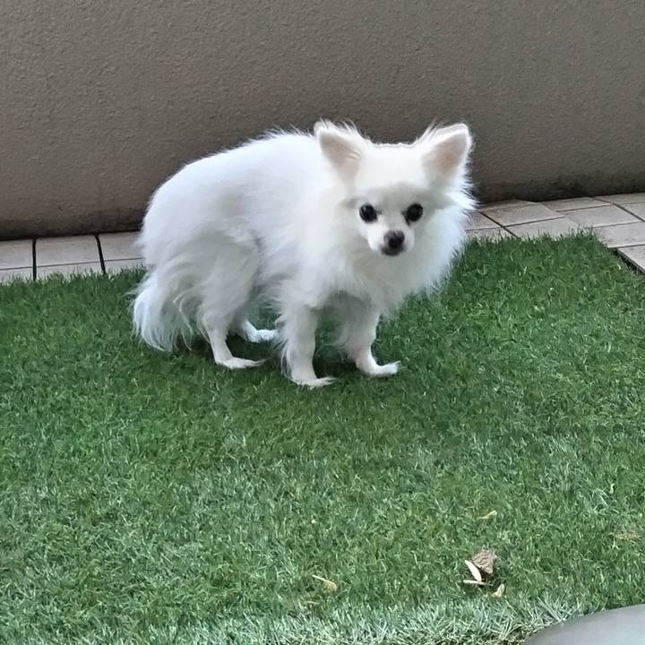 3797a925 eb3b 4521 9220 353e92161f08 1686861264783