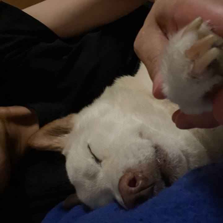 3797c239 5ea5 4149 a627 5b42515b8d48 1633961816530