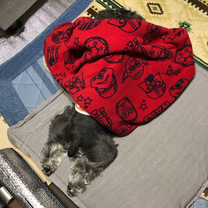 3797df2d 452e 4326 82d5 9275720eb47c 1708782284936