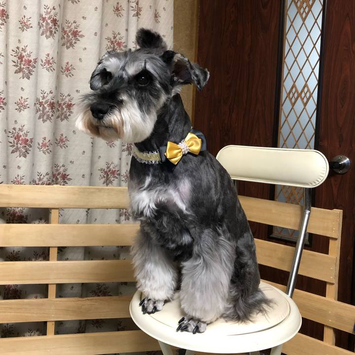 3797f77a a185 4ac6 9c48 c8a77a00d814 1651141647037