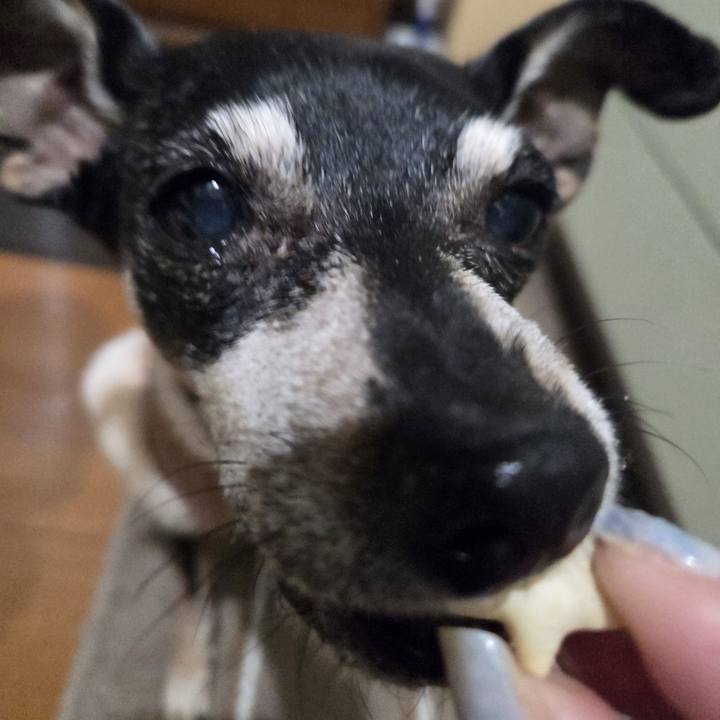 3798546c a230 4f96 9cc6 194200a32fbd 1772048577439