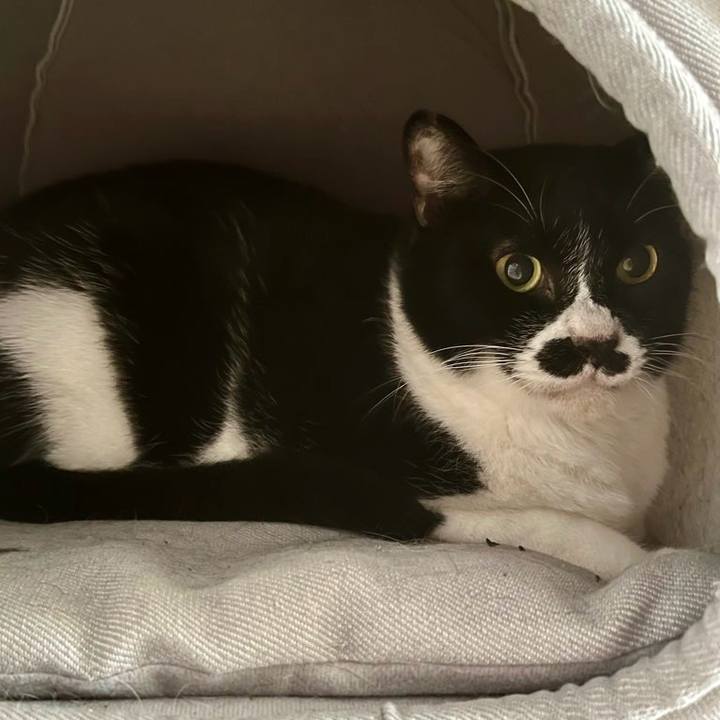 3798650c f912 4273 a79d 914d5fb00618 1706746638361