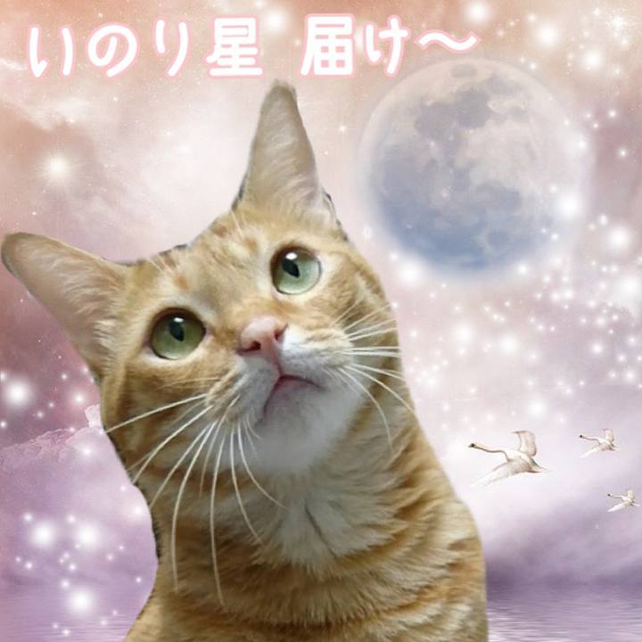 3798a865 eaff 45b3 8b87 2db3aa5d9f57 1563611300952