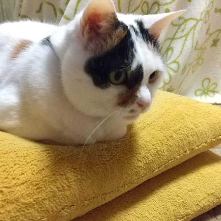 3798e42c 0d78 4440 b992 816b05752a48 1653305339275