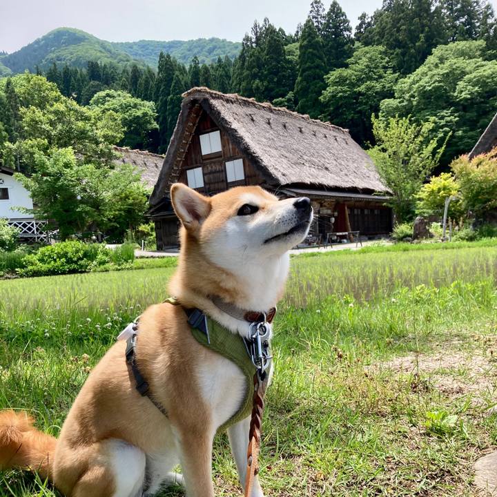 3798ecc9 c7c2 4ff9 957c a55310eba333 1686479461189