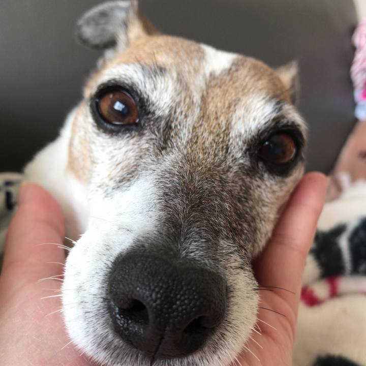 3798f3c1 3399 4bd5 ba95 c5b5c6adf506 1523500328982