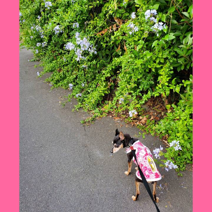 379924c0 9ac8 4694 b21d 570ed79f522d 1689977042067