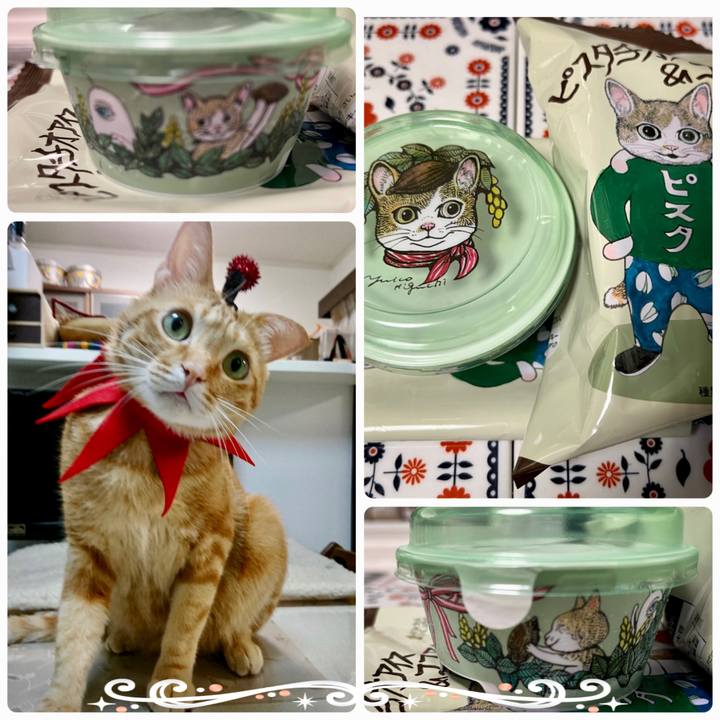 37995f01 f2b5 4b4e 9020 7da10e35894c 1640057671572