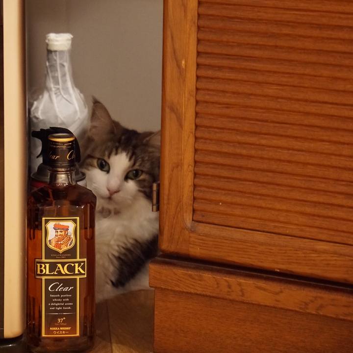 37996d27 8385 44e4 b6ff 5e5d1b35bf01 1567253476516