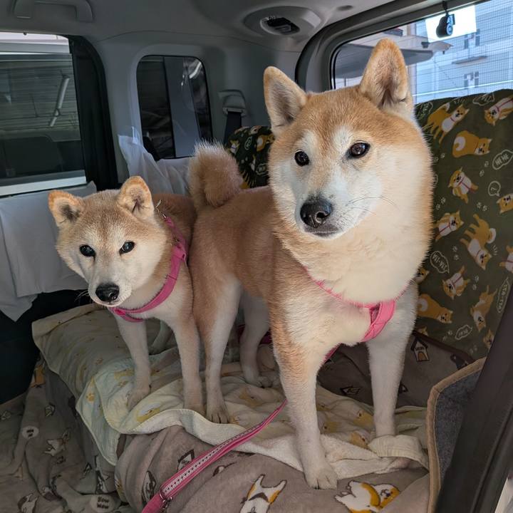 3799b47f 1c5b 439b b135 e2e18f9b2091 1768736531892