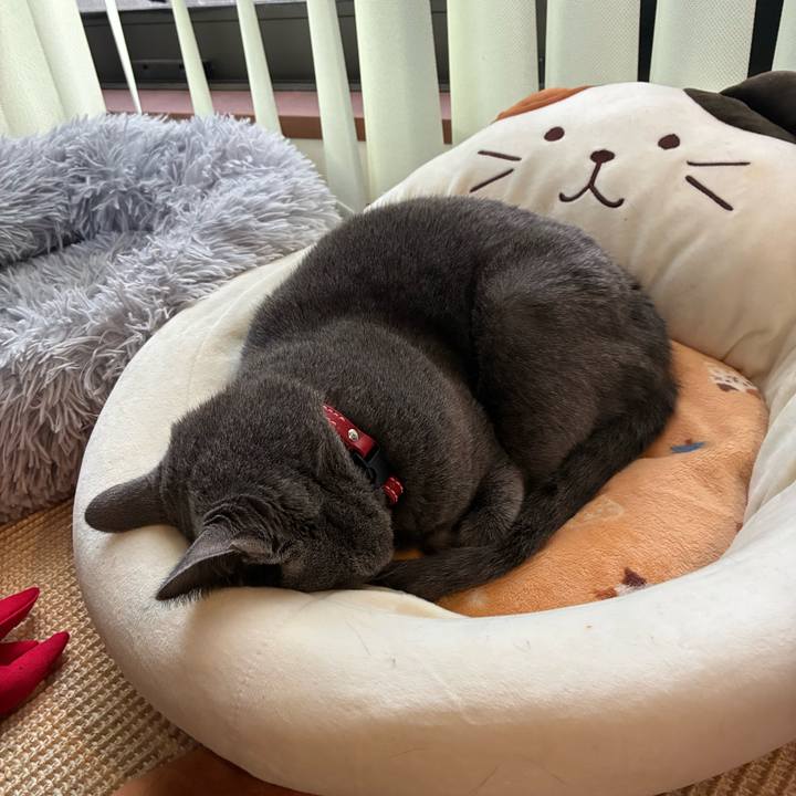 3799beae f6cf 482f 9356 784992aadac8 1770362274073