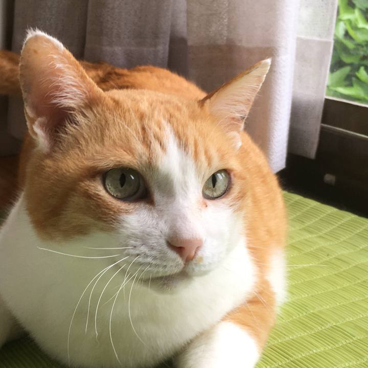 3799e539 6726 40f2 a99a 9f67db17e1d9 1626683761074