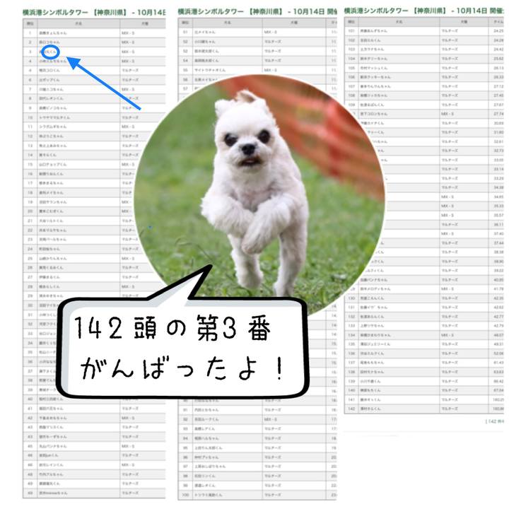 3799ef2c 6a72 4b8f 892f 8676e83af310 1541647811260