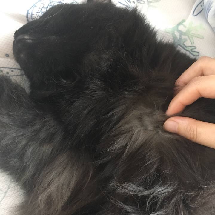 379a06cd 9a6f 4581 8358 60da13e18ad8 1535507056995