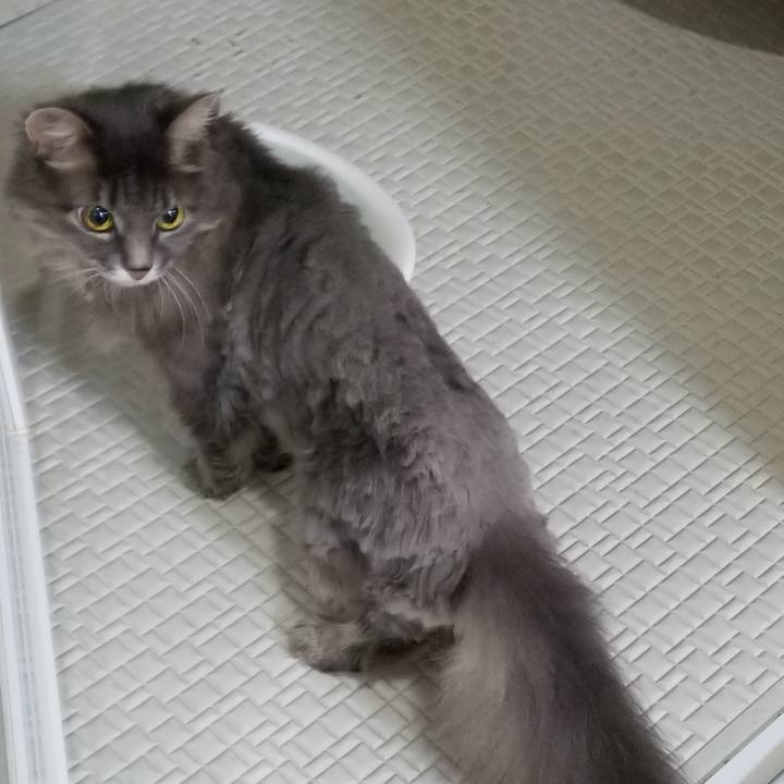 379a3497 917a 4abd a196 7c42e5e15f8c 1595465946324