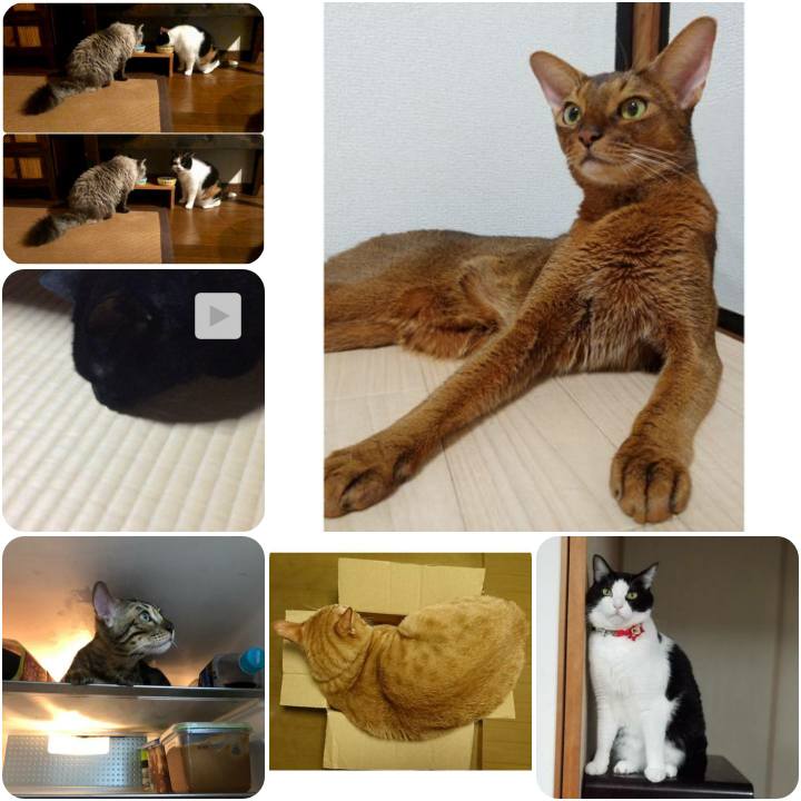 379a5b5c 562a 4135 b460 72b07493ccad 1568067056498