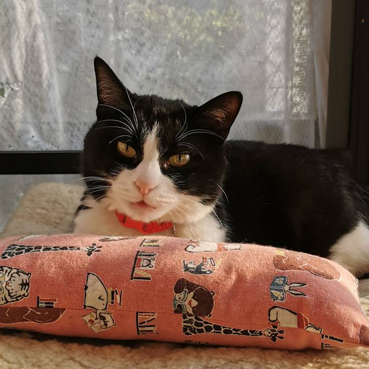 379a5e8a cf51 48e2 8a5c 5f751d2bf35f 1649306472452