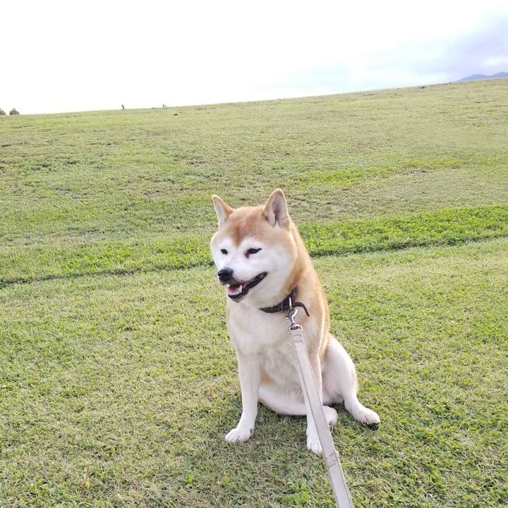 379a72b6 f298 4c17 a910 75c235b3b65d 1634624691209