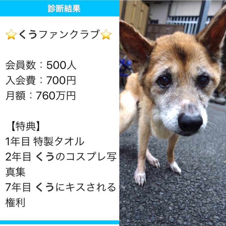 379a757e a51b 4c64 81b6 96bb25b21879 1568448094178