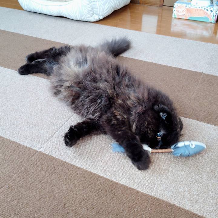 379a8511 10b9 41cd 8369 c79f886f93f0 1761958795165