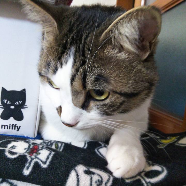 379a957e 5c00 4a4c 952b e7d9266d3f82 1652955375108