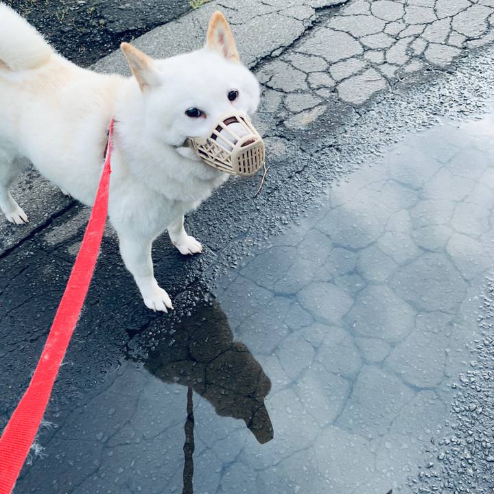 379ae234 13d8 497a 8082 dc0b4e0b47cb 1601243307109