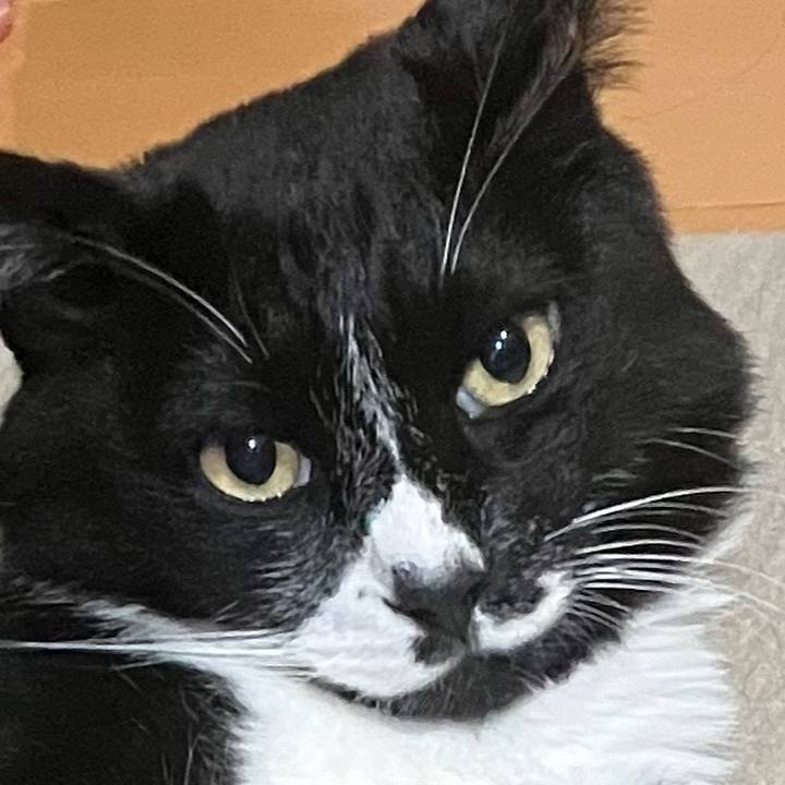 379af8a0 a26b 4f73 b962 71bce57822f6 1725718048245