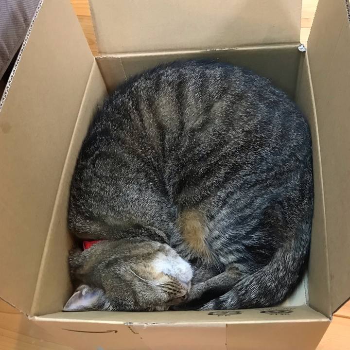 379b032f 9d51 4903 a341 68782c8dc7c4 1623828181725