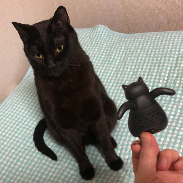 379b1932 04c7 4ee6 9158 13b1801937a8 1740804566398