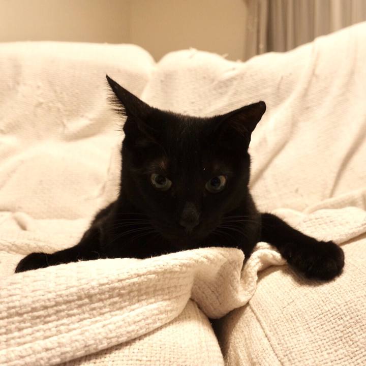 379b2212 f252 4771 90d6 eae17afda7c2 1519135019155