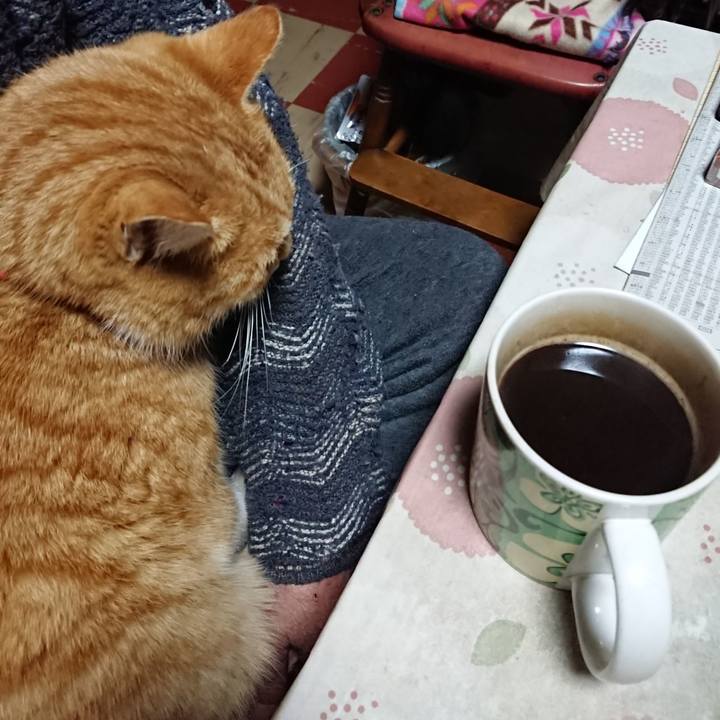 379b3c42 378b 4603 b2e6 a8d21444c5ee 1577476525812