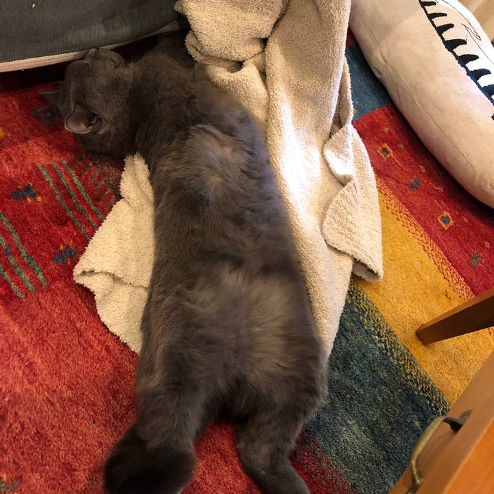 379b564a a437 4714 995c 9b55d1ec7326 1515665364995