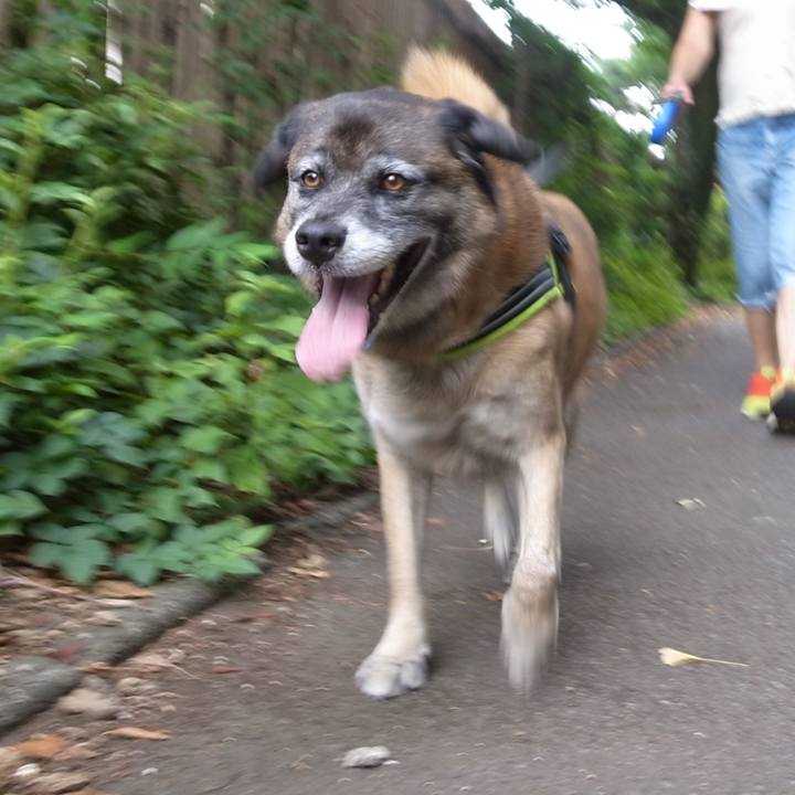 379b7943 ad7b 409b afc5 9a33b477b146 1582593952270