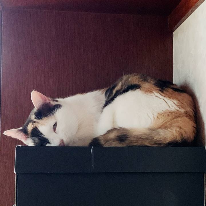 379b9ab6 8582 402e adac 0dba0b28a5d3 1597544201952