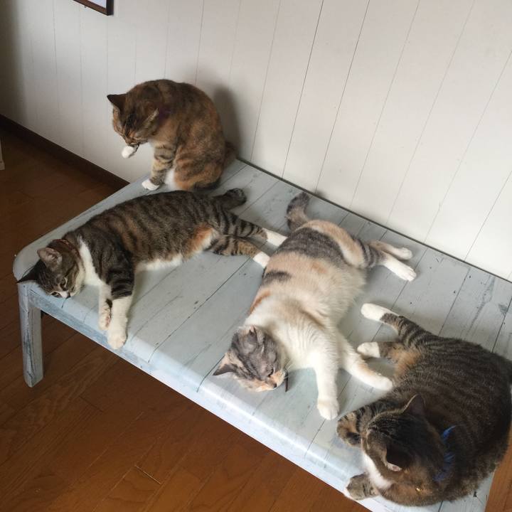 379ba4a5 3f7e 441f a403 d58b3810dab8 1567230635899