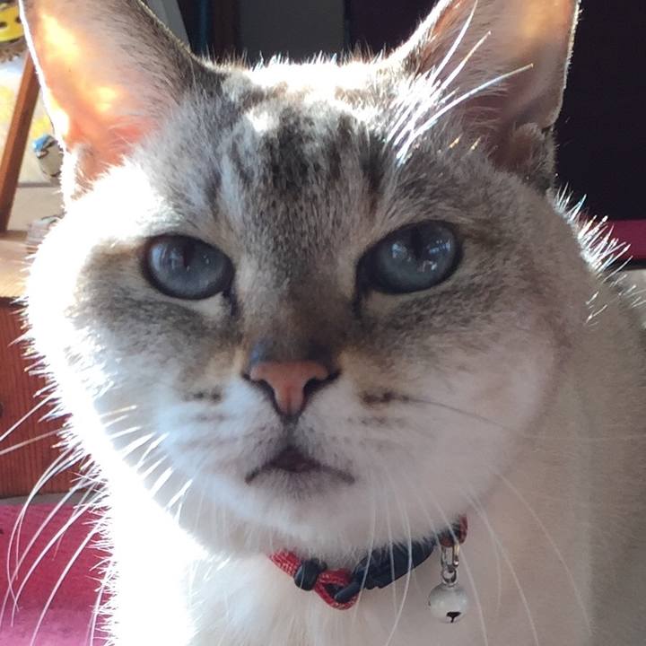 379bac09 bfb9 4df3 a004 3d26613fc58a 1580365325632