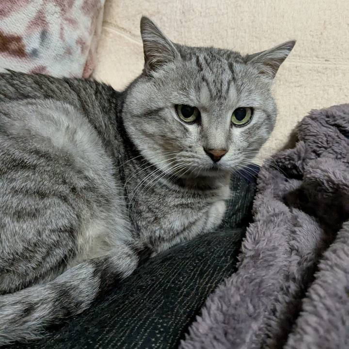 379c02aa f172 4a8b b87d 76467b6103c3 1744451079137