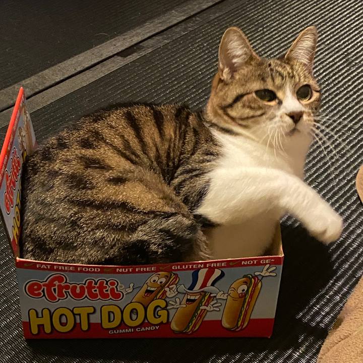 379c2849 63bc 40e4 882e f59bdffb69d1 1583173216523