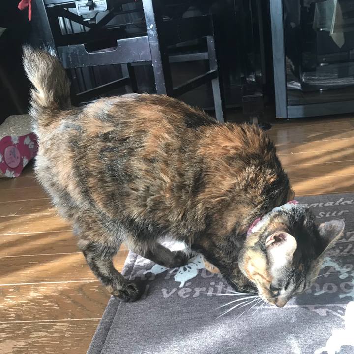 379c3e83 48d1 466f 97c3 212eccbb04e5 1515029579644