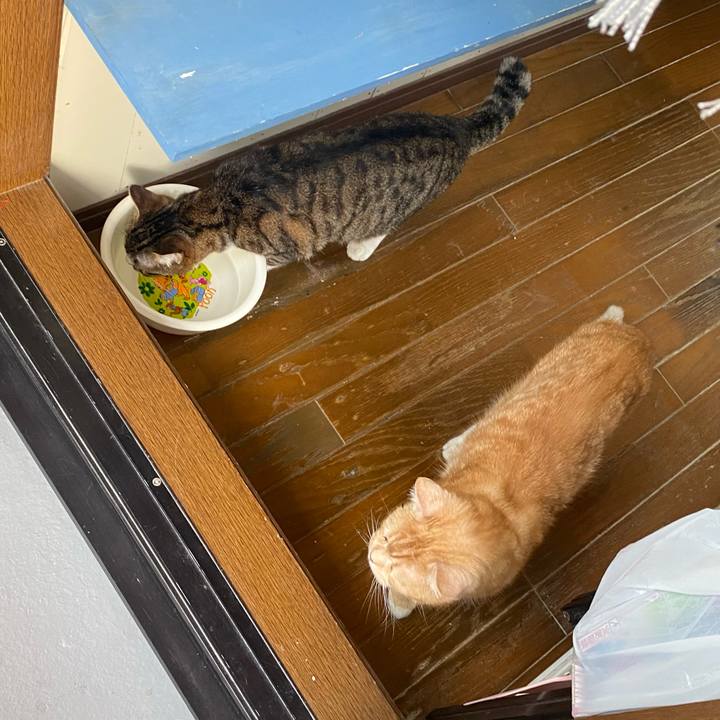 379c481e 1bb7 46d2 a51d 50a69de8dc13 1620976440852