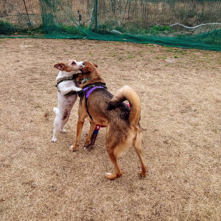 379c4c08 926c 4e11 8d20 d422967c956c 1708854019246