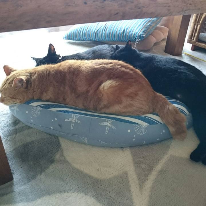 379ca003 e7e2 429d 9b49 ef969262d85b 1528862600942