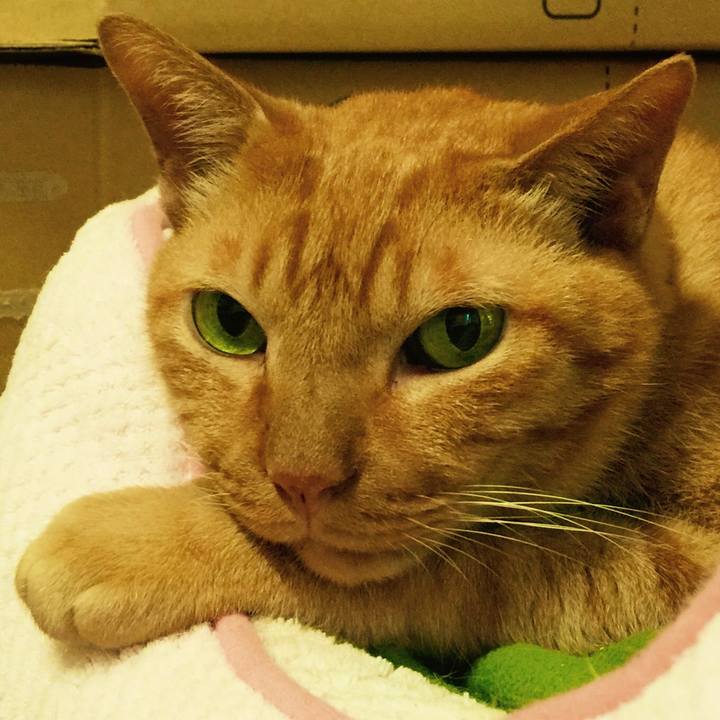 379ca057 1a96 4da3 9663 b55d340938a2 1602113436533