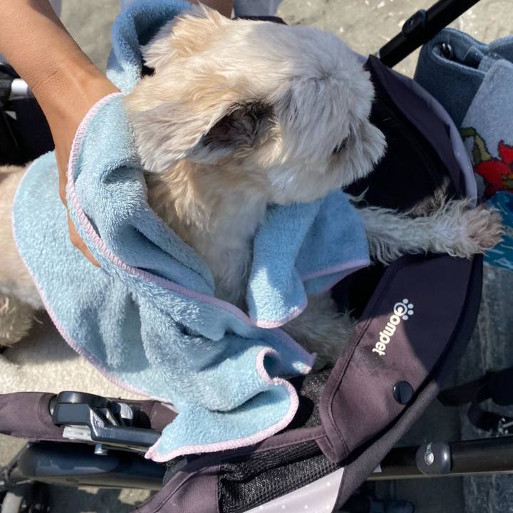 379ca28b de25 4c15 bffb f31159838a95 1652274403581