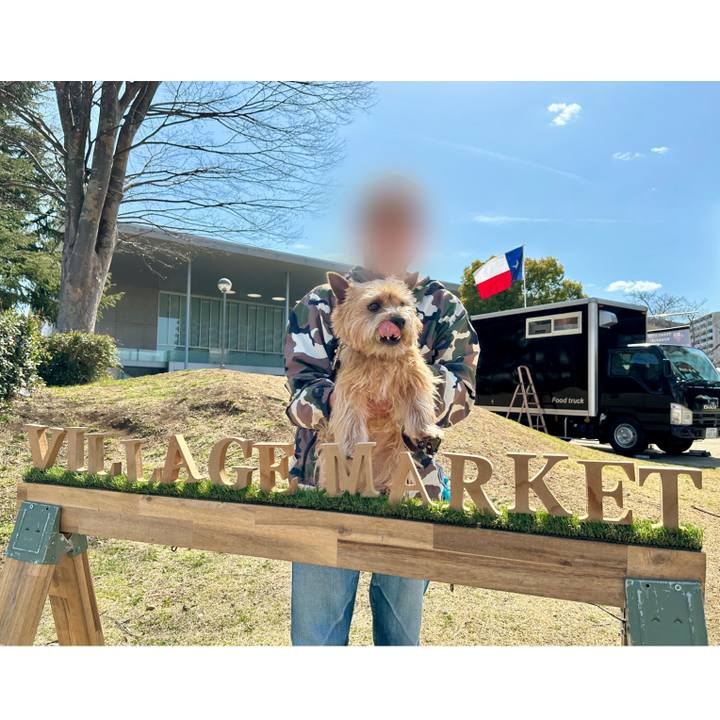 379cbb61 7c7e 4bfe ac49 44b56e9827a9 1773655232759