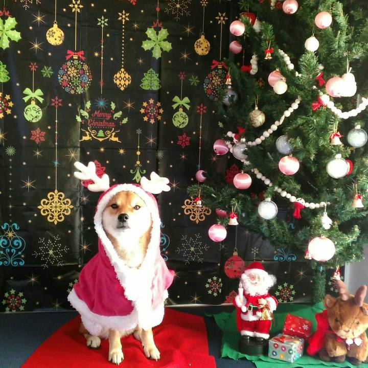 379ccadc e222 481e 9ed7 bb4b8393b117 1513427124232