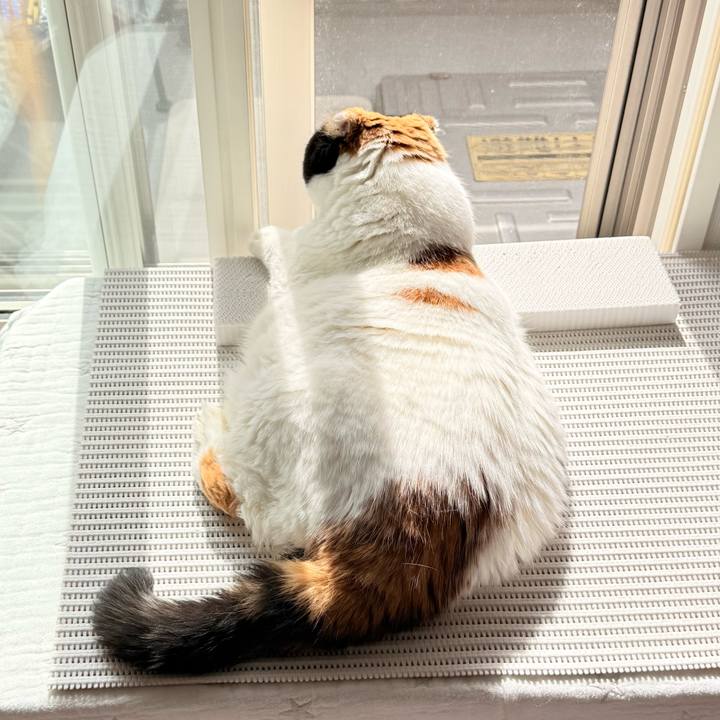 379cd764 1de3 41e1 816e baf75dbbf5e4 1759890826497