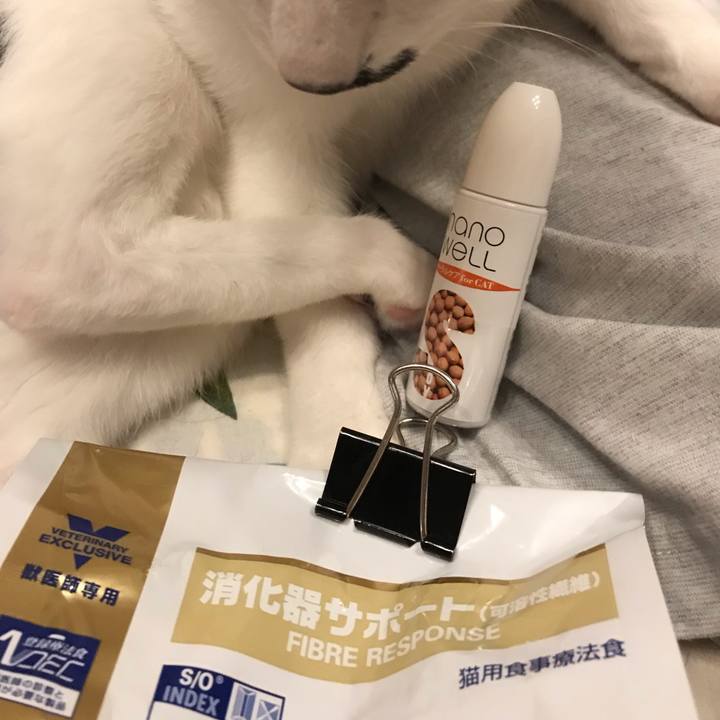 379ce193 3e97 4de8 9f57 1726f3508277 1560684805941